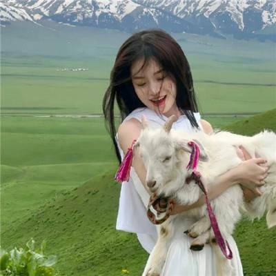 双雄会(下集)封面