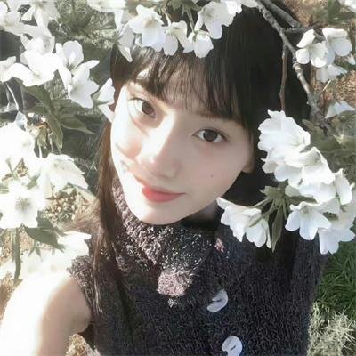 青春狂恋封面