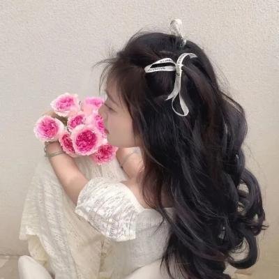 蔷薇少女封面